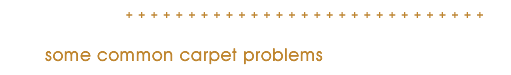 Common carpet problems